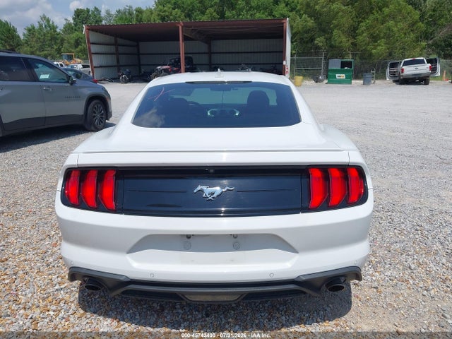 45743400 :رقم المزاد ، 1FA6P8TH4P5110400 vin ، 2023 Ford Mustang Ecoboost Premium Fastback مزاد بيع