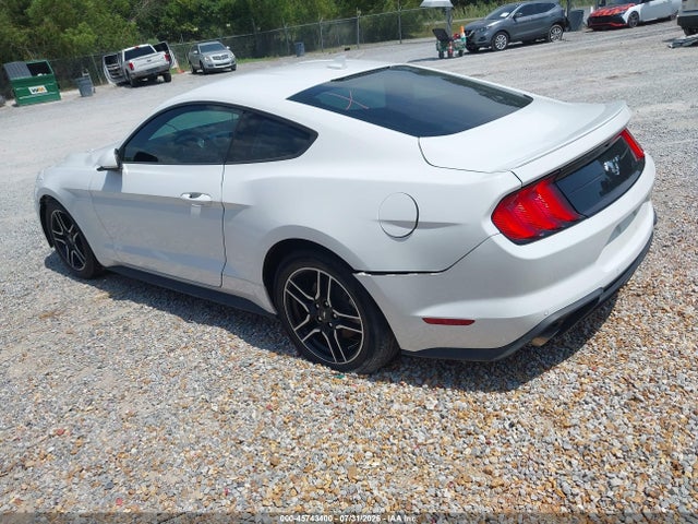 45743400 :رقم المزاد ، 1FA6P8TH4P5110400 vin ، 2023 Ford Mustang Ecoboost Premium Fastback مزاد بيع