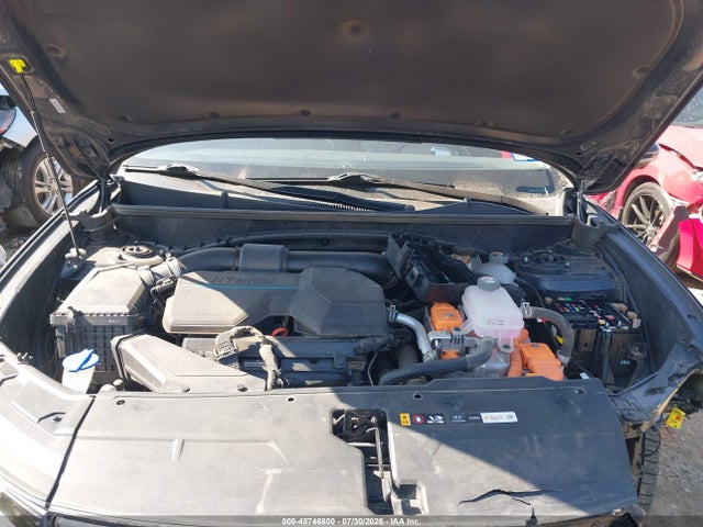 2024 Hyundai Tucson Hybrid Limited მანქანა იყიდება აუქციონზე, vin: KM8JECD11RU221621, აუქციონის ნომერი: 45746800