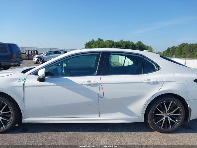 Auction sale of the 2023 Toyota Camry Se, vin: 4T1T11AK3PU183134, lot number: 45748392