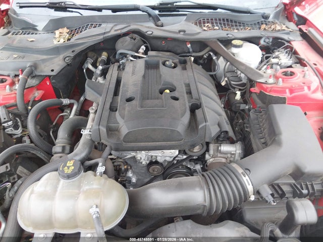 Aukcja sprzedaży 2019 Ford Mustang Ecoboost Premium, vin: 1FATP8UHXK5131519, numer aukcji: 45748591