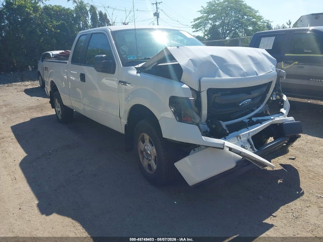Auction sale of the 2014 Ford F-150 Stx, vin: 1FTEX1EM7EKG08371, lot number: 45749403