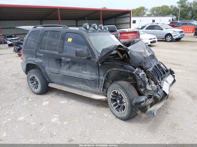 Auction sale of the 2003 Jeep Liberty Renegade, vin: 1J4GL38K13W699664, lot number: 45750110