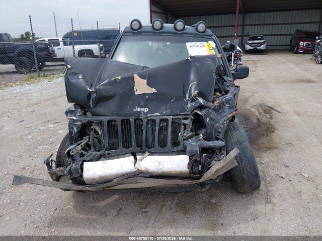 Продажа на аукционе авто 2003 Jeep Liberty Renegade, vin: 1J4GL38K13W699664, номер лота: 45750110