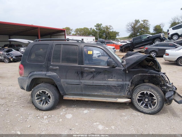 Продажа на аукционе авто 2003 Jeep Liberty Renegade, vin: 1J4GL38K13W699664, номер лота: 45750110