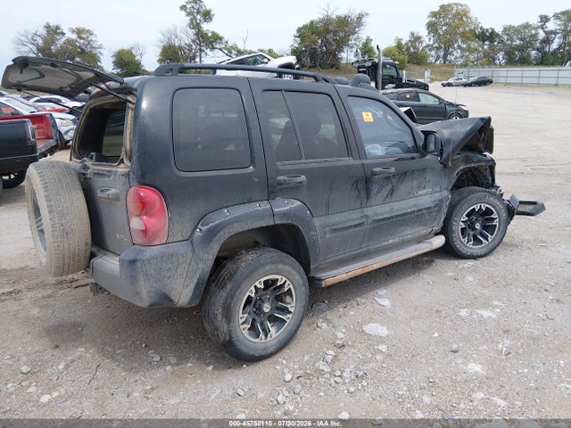 Продажа на аукционе авто 2003 Jeep Liberty Renegade, vin: 1J4GL38K13W699664, номер лота: 45750110
