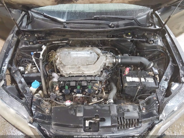 45750550 :رقم المزاد ، 1HGCT2B84DA001186 vin ، 2013 Honda Accord Ex-l V-6 مزاد بيع