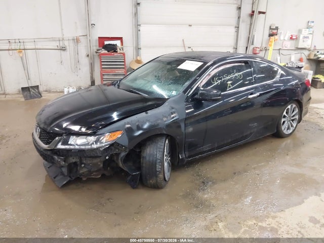 45750550 :رقم المزاد ، 1HGCT2B84DA001186 vin ، 2013 Honda Accord Ex-l V-6 مزاد بيع