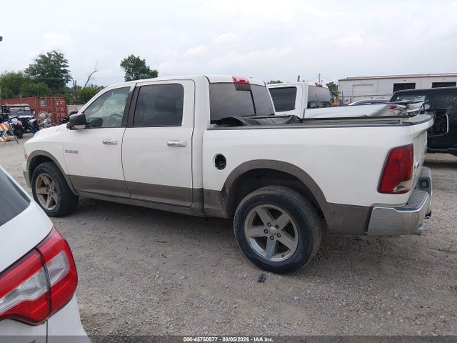 45750577 :رقم المزاد ، 1D3HV13TX9S805612 vin ، 2009 Dodge Ram 1500 Slt/sport/trx مزاد بيع