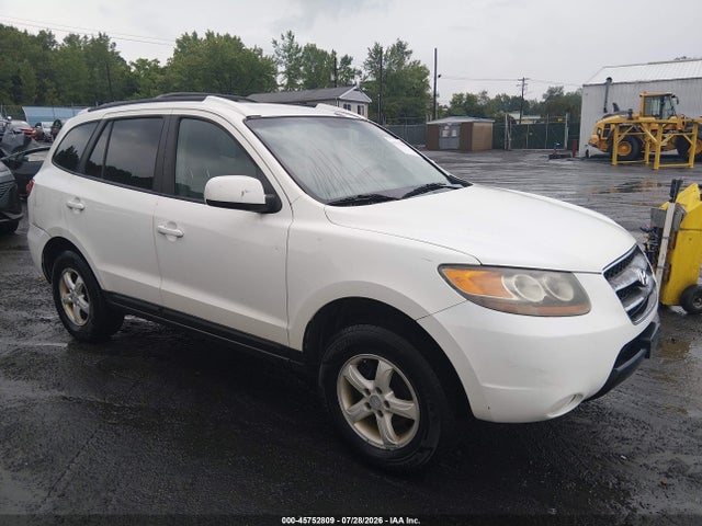 Auction sale of the 2007 Hyundai Santa Fe Gls, vin: 5NMSG13D87H124388, lot number: 45752809