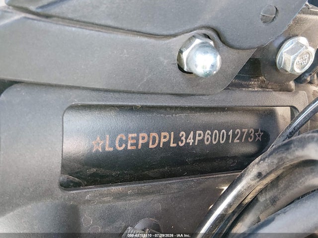 Cf Moto 300ss 2023 LCEPDPL34P6001273 Image 10