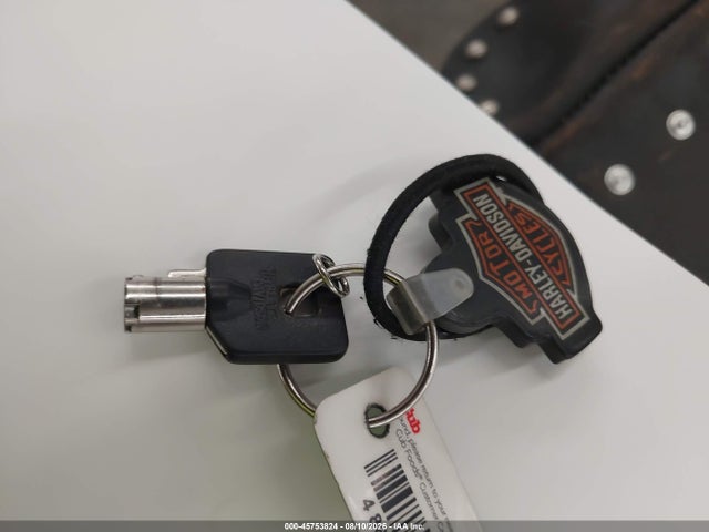 2006 Harley-davidson Flstni მანქანა იყიდება აუქციონზე, vin: 1HD1JDB196Y021081, აუქციონის ნომერი: 45753824