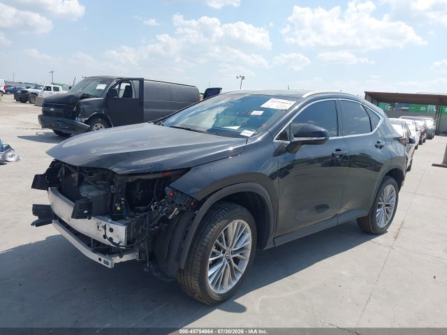 45754664 :رقم المزاد ، 2T2GGCEZ0SC081931 vin ، 2025 Lexus Nx 350 Premium مزاد بيع