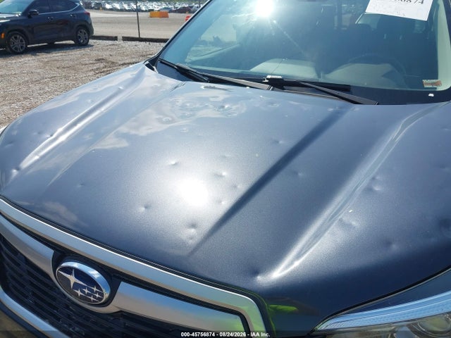 Subaru Forester Premium 2019 JF2SKAEC6KH584485 Image 6