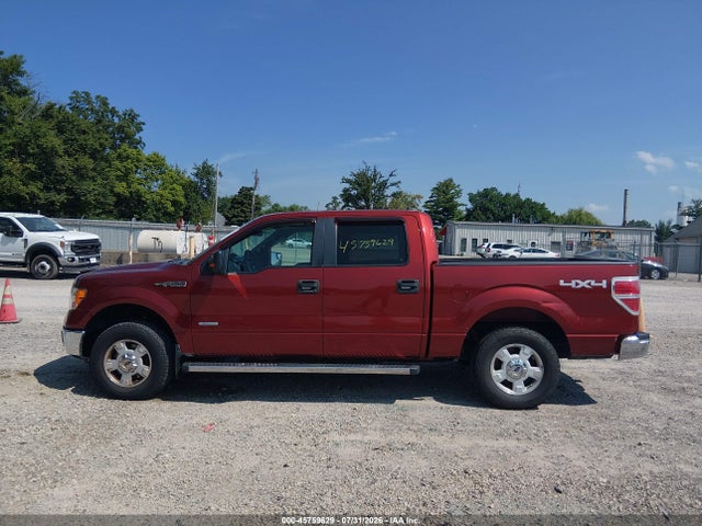 Продаж на аукціоні авто 2014 Ford F-150 Xlt, vin: 1FTFW1ET8EKE40450, номер лоту: 45759629