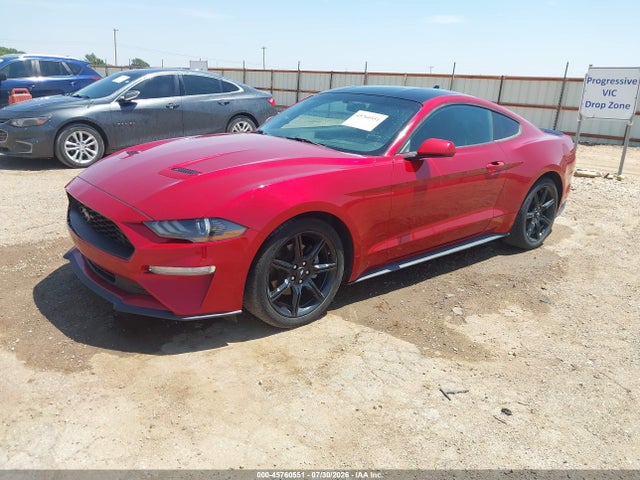 Ford Mustang Ecoboost Fastback 2020 1FA6P8TH5L5158658 Image 2