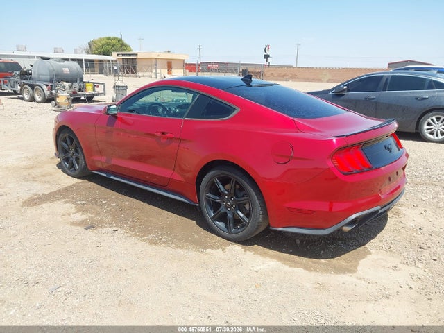 Ford Mustang Ecoboost Fastback 2020 1FA6P8TH5L5158658 Image 3