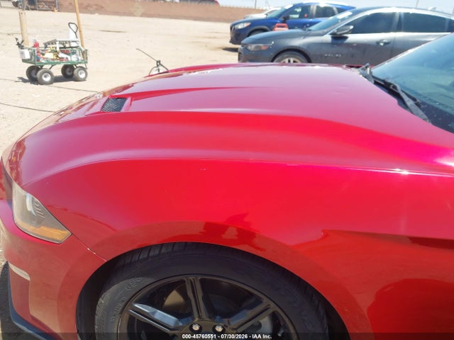 Ford Mustang Ecoboost Fastback 2020 1FA6P8TH5L5158658 Image 6