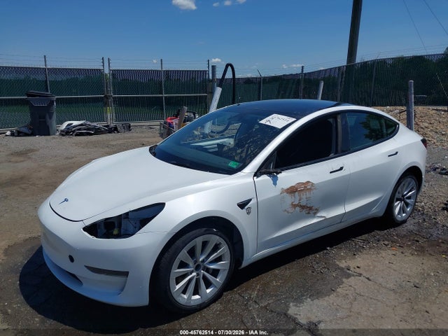 2023 Tesla Model 3 Rear-wheel Drive მანქანა იყიდება აუქციონზე, vin: 5YJ3E1EA4PF549248, აუქციონის ნომერი: 45762514