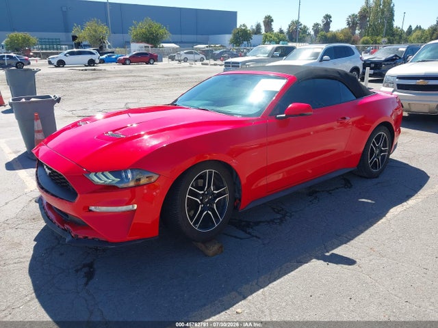 1FATP8UH0K5171026 Ford Mustang Ecoboost Premium