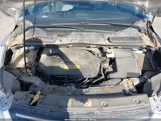 Ford ESCAPE SE 2014 1FMCU0GX1EUC85453 Image 10