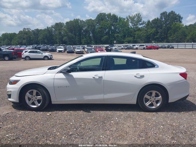1G1ZC5ST0LF138781 Chevrolet Malibu Fwd 1fl