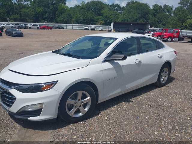 1G1ZC5ST0LF138781 Chevrolet Malibu Fwd 1fl
