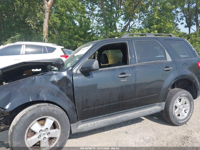 Продаж на аукціоні авто 2009 Ford Escape Xlt, vin: 1FMCU03G29KA08401, номер лоту: 45766776