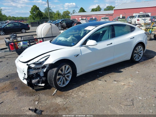 45767257 :رقم المزاد ، 5YJ3E1EA9KF338376 vin ، 2019 Tesla Model 3 Long Range/mid Range/standard Range/standard Range Plus مزاد بيع