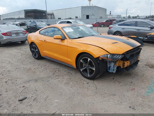 2019 1FA6P8TH5K5116778 главное изображение