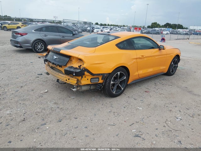 Ford Mustang Ecoboost 2019 1FA6P8TH5K5116778 Image 4