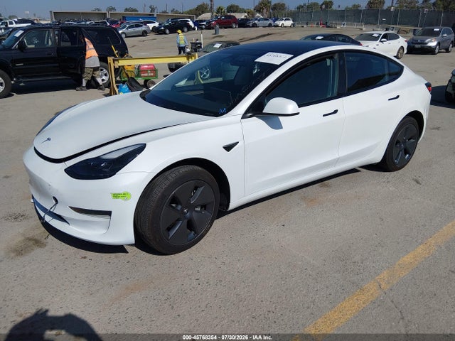 Продаж на аукціоні авто 2023 Tesla Model 3 Rear-wheel Drive, vin: 5YJ3E1EA0PF568203, номер лоту: 45768354