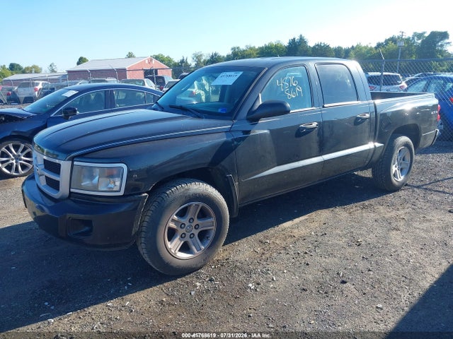 2011 Ram Dakota Bighorn/lonestar მანქანა იყიდება აუქციონზე, vin: 1D7RW3GK8BS521284, აუქციონის ნომერი: 45768619