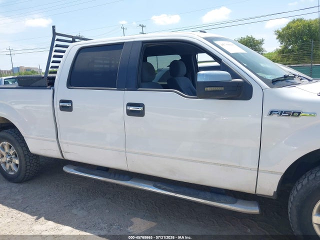 Ford F-150 Xlt 2014 1FTFW1EF2EKG04396 Image 13