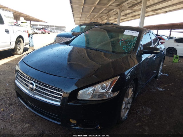 2009 Nissan Maxima 3.5 Sv მანქანა იყიდება აუქციონზე, vin: 1N4AA51E49C833732, აუქციონის ნომერი: 45768686