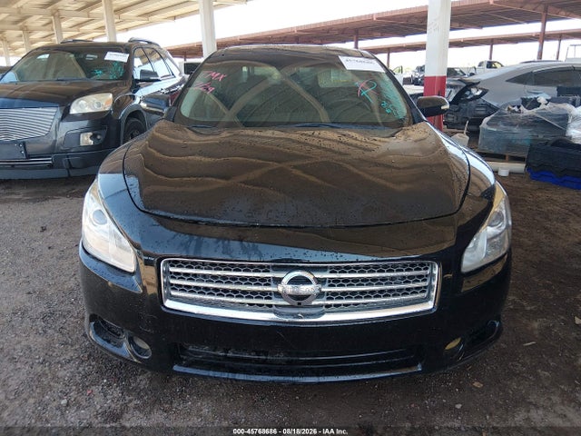 2009 Nissan Maxima 3.5 Sv მანქანა იყიდება აუქციონზე, vin: 1N4AA51E49C833732, აუქციონის ნომერი: 45768686