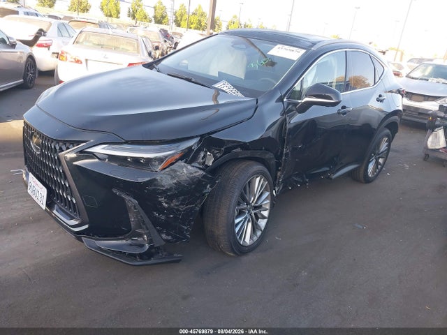 Продажа на аукционе авто 2025 Lexus Nx 350h Luxury, vin: JTJHKCEZ7S2063557, номер лота: 45769879