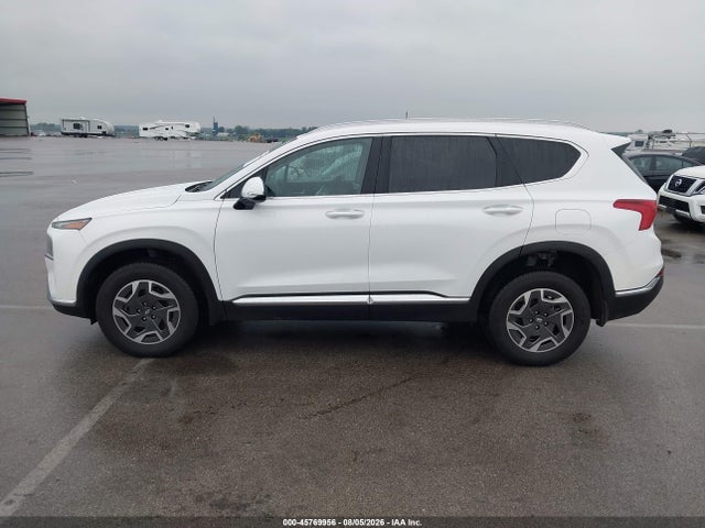 2023 Hyundai Santa Fe Hybrid Blue მანქანა იყიდება აუქციონზე, vin: 5NMS2DA10PH014010, აუქციონის ნომერი: 45769956