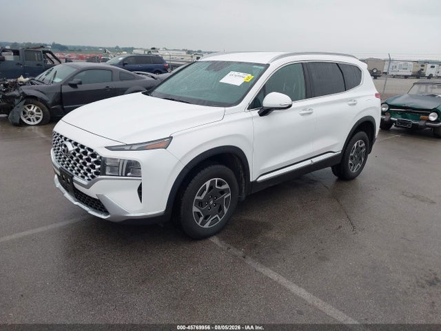 2023 Hyundai Santa Fe Hybrid Blue მანქანა იყიდება აუქციონზე, vin: 5NMS2DA10PH014010, აუქციონის ნომერი: 45769956