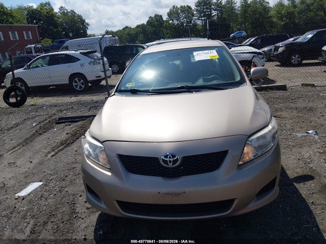 45770841 :رقم المزاد ، 2T1BU4EE9AC505437 vin ، 2010 Toyota Corolla Le مزاد بيع