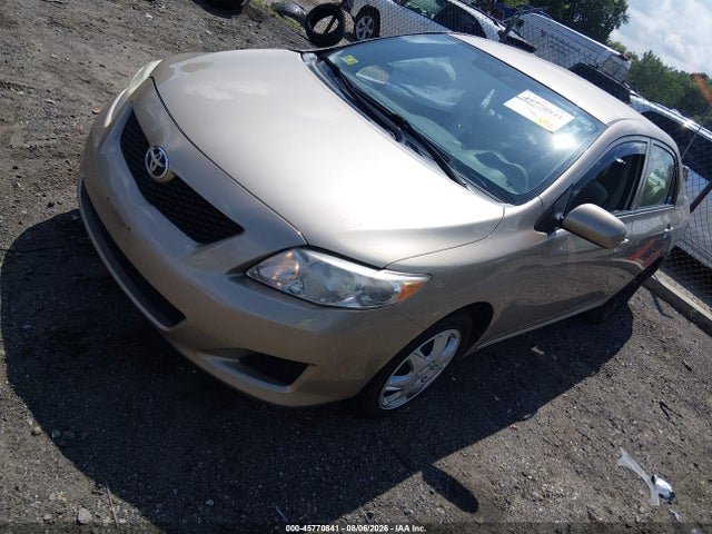 45770841 :رقم المزاد ، 2T1BU4EE9AC505437 vin ، 2010 Toyota Corolla Le مزاد بيع