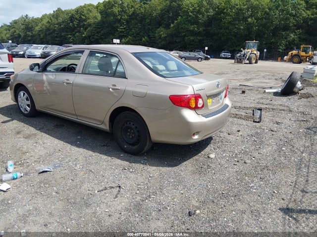45770841 :رقم المزاد ، 2T1BU4EE9AC505437 vin ، 2010 Toyota Corolla Le مزاد بيع