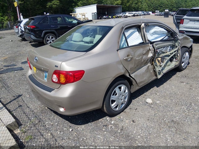 45770841 :رقم المزاد ، 2T1BU4EE9AC505437 vin ، 2010 Toyota Corolla Le مزاد بيع