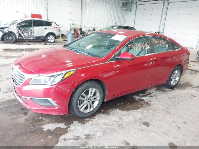 Продажа на аукционе авто 2017 Hyundai Sonata, vin: 5NPE24AF2HH531287, номер лота: 45771823