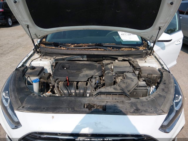 Продаж на аукціоні авто 2019 Hyundai Sonata Se, vin: 5NPE24AF7KH735428, номер лоту: 45772636
