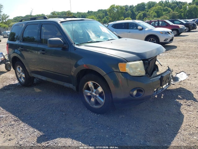 Продаж на аукціоні авто 2009 Ford Escape Xlt, vin: 1FMCU03G89KA25848, номер лоту: 45772832
