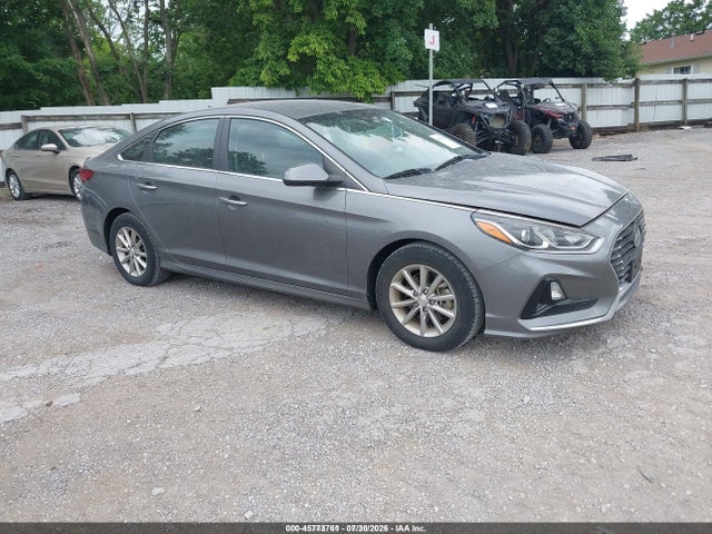 2019 Hyundai Sonata Eco მანქანა იყიდება აუქციონზე, vin: 5NPE24AA0KH801130, აუქციონის ნომერი: 45773761