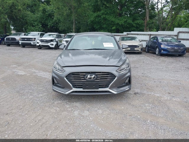 2019 Hyundai Sonata Eco მანქანა იყიდება აუქციონზე, vin: 5NPE24AA0KH801130, აუქციონის ნომერი: 45773761