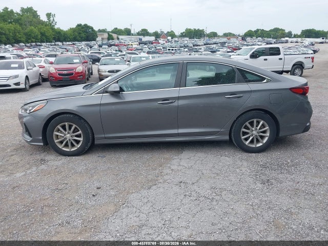 2019 Hyundai Sonata Eco მანქანა იყიდება აუქციონზე, vin: 5NPE24AA0KH801130, აუქციონის ნომერი: 45773761