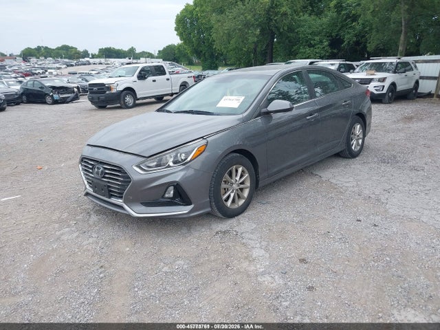 2019 Hyundai Sonata Eco მანქანა იყიდება აუქციონზე, vin: 5NPE24AA0KH801130, აუქციონის ნომერი: 45773761